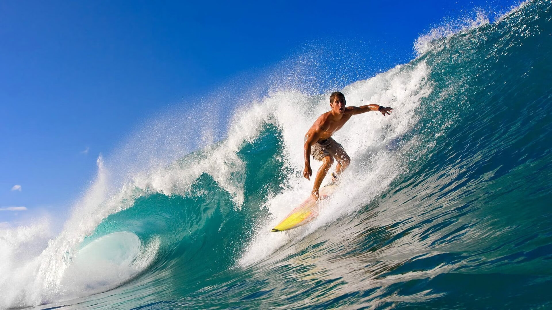 体育新闻中心开展体育传媒职业技能提升培训,体育传媒的前景